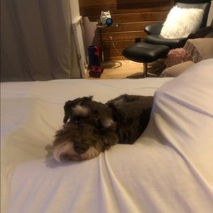 Meet your Posher, Jonathan